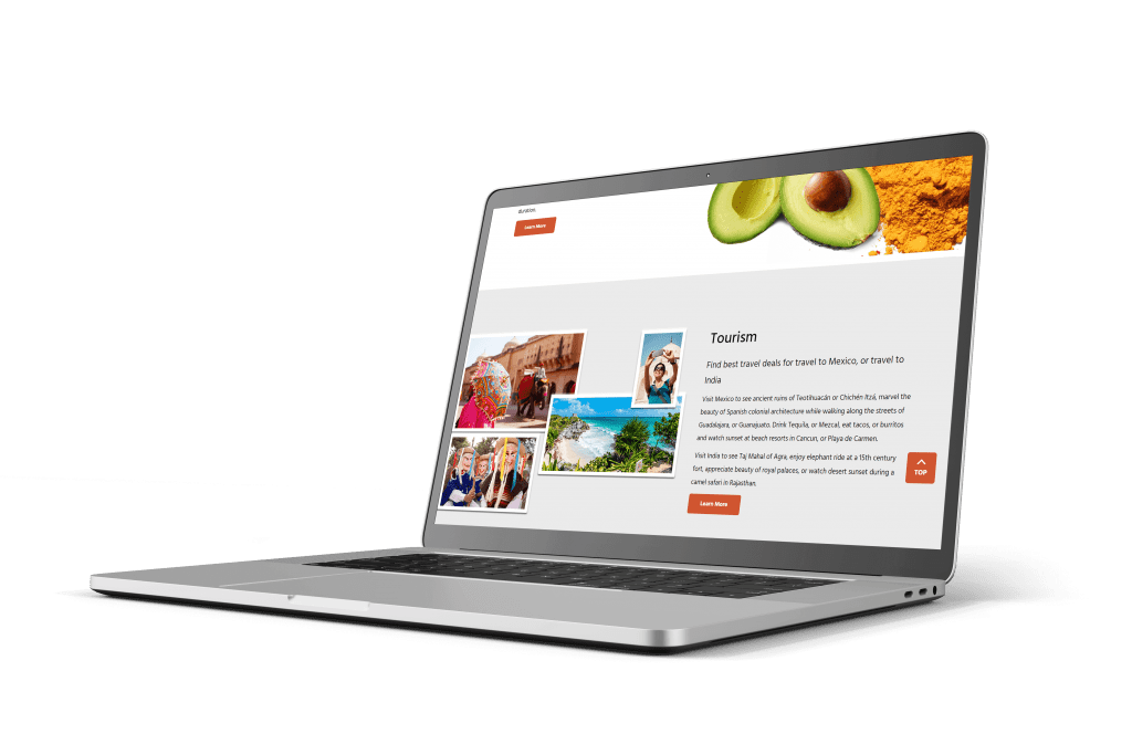 INDMEX Banner