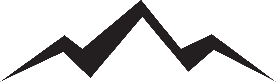 White peak digital company logo
